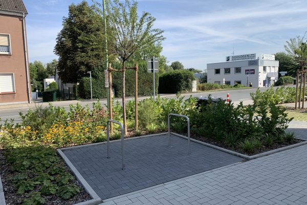 Tewes-Kampelmann in Herne Bauvorhaben Castroper Straße mit Pflasterarbeiten Bepflanzung Sichtschutz Terrassen (13)